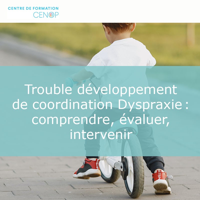 **Developmental Coordination Disorder (Dyspraxia): Understanding, Assessment, and...