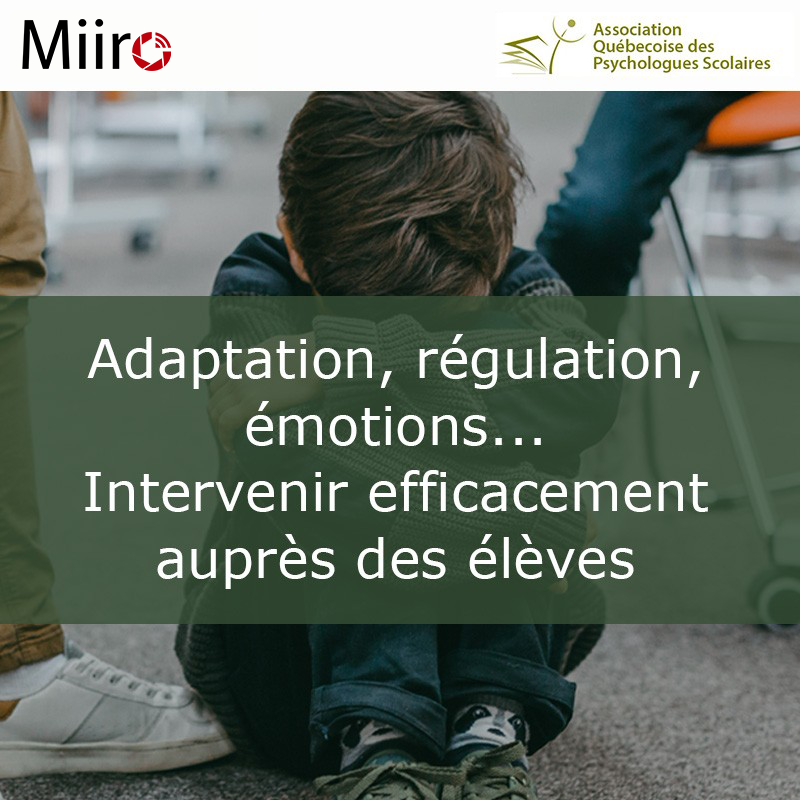 Adaptation, Regulation, Emotions… Intervening Effectively with Students